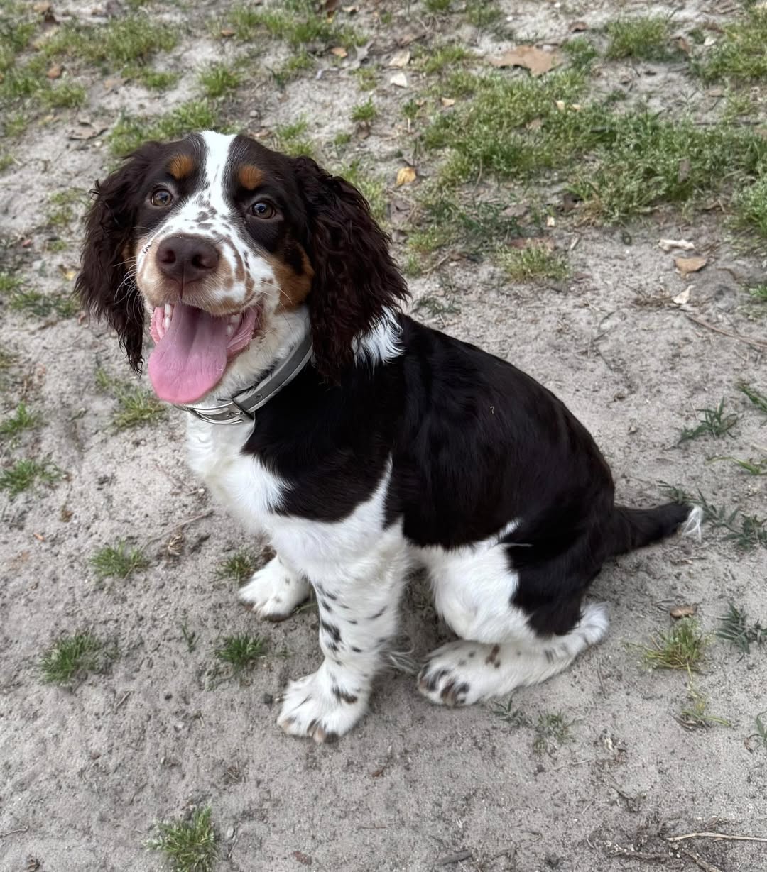 Behavior Modification