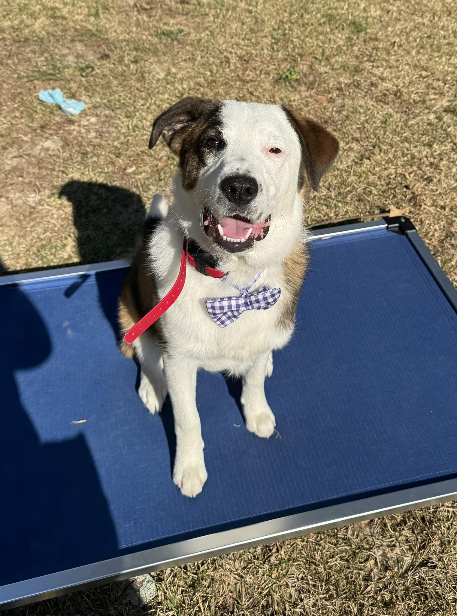 Personalized Training